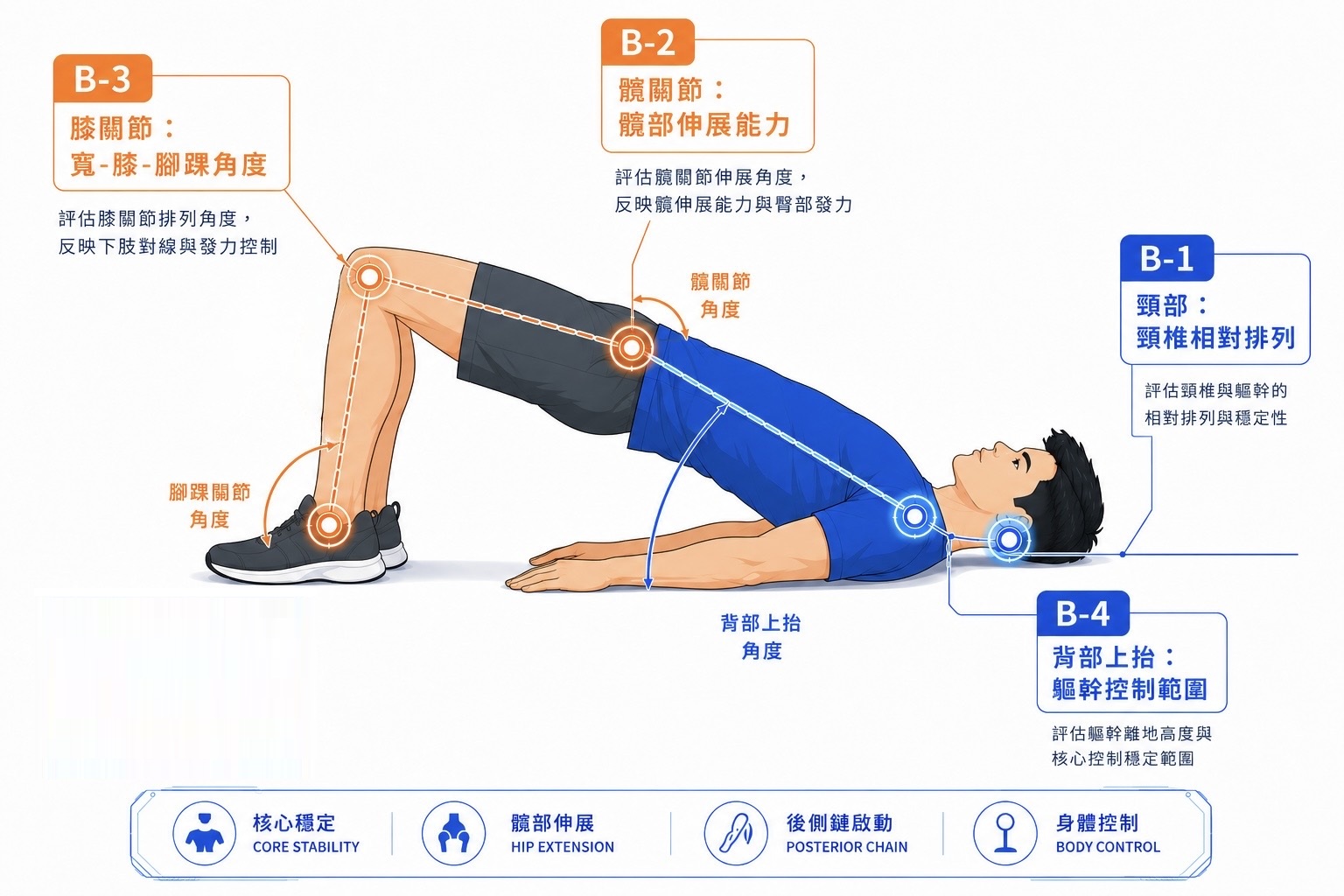 肩橋式評估